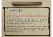 (성매매 대책방안) 성매매 유형, 성매매 원인, 성매매 현황, 성매매 여성의 문제, 성매매 특별법, 성매매 대책방안 ok-20