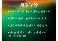 [녹색소비와 경제성장] 녹색소비 개념, 녹색소비 사례, 녹색소비 문제점, 녹색소비 전망-18