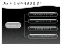 [명품 사례] 명품패션 산업분석, 크리스찬 디올 분석, 크리스찬 디올 핵심 역량, 크리스찬 디올 문제점, 크리스찬 디올 대책방안-12