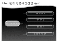 [명품 사례] 명품패션 산업분석, 크리스찬 디올 분석, 크리스찬 디올 핵심 역량, 크리스찬 디올 문제점, 크리스찬 디올 대책방안-13