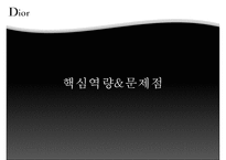 [명품 사례] 명품패션 산업분석, 크리스찬 디올 분석, 크리스찬 디올 핵심 역량, 크리스찬 디올 문제점, 크리스찬 디올 대책방안-14