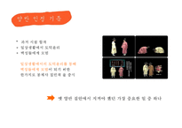 [문화의 이해, 봉제사, 접빈객] 봉제사, 접빈객 분석, 봉제사의 의미, 접빈객의 의미, 특징, 분석-3