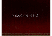 [북유럽 르네상스 예술] 북유럽 르네상스 미술-2