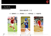 [아마추어 경기단체의 재정 자립 방안] 아마추어 경기 재정 현황, 아마추어 경기 재정 특징, 재정자립 요인, 경기단체 재정자립 방안-4