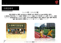 [아마추어 경기단체의 재정 자립 방안] 아마추어 경기 재정 현황, 아마추어 경기 재정 특징, 재정자립 요인, 경기단체 재정자립 방안-15