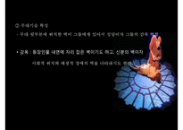 [프랑스 문화, 프랑스 뮤지컬] 프랑스 뮤지컬 역사, 프랑스 뮤지컬 특징, 프랑스 뮤지컬 분석, 프랑스 뮤지컬 종류, 프랑스 뮤지컬-11