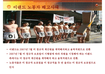 [비정규직 해결방안, 비정규직보호법] 비정규직 개념, 비정규직 특징, 비정규직 법안, 비정규직 개정법안, 비정규직 문제점, 비정규직 대안-15