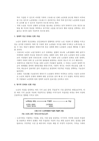 [노인자살 대책방안] 노인자살 현황, 노인자살 원인, 노인자살 문제점, 노인자살 사례, 노인자살 대책, 노인자살 대책방안, 노인자살 전망, 노인자살 복지방안-7