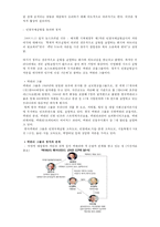 [인천국제공항 민영화 정책] 인천국제공항 민영화 정책에 대한 분석, 인천국제공항 민영화 정책 특징, 인천국제공항 민영화 분석, 엘리슨 이론 접목-9