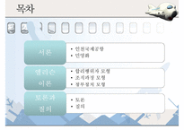[인천국제공항 민영화 정책] 인천국제공항 민영화 정책에 대한 분석, 인천국제공항 민영화 정책 특징, 인천국제공항 민영화 분석, 엘리슨 이론 접목-2