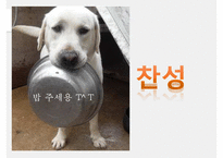 무상급식은 포퓰리즘인가, 무상급식은 필요한가, 무상급식의 배경, 무상급식의 찬성, 무상급식 반대의견-18