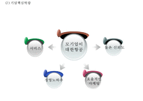 JINAIR 진에어 기업현황과 진에어 마케팅 4P,STP,SWOT분석및 진에어 새로운 마케팅전략 제안 PPT-5