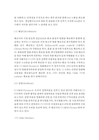 CJ E&M 마케팅사례연구(CJ E&M 기업분석+마케팅전략+SWOT+STP+4P+ CJ E&M 미래전망연구)-8