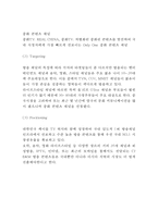CJ E&M 마케팅사례연구(CJ E&M 기업분석+마케팅전략+SWOT+STP+4P+ CJ E&M 미래전망연구)-12