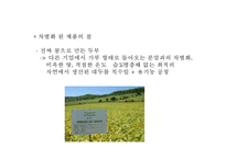 풀무원 기업현황과 성공요인및 풀무원 마케팅 SWOT,STP,4P전략분석과 풀무원 개선방안과 향후전망 PPT-13