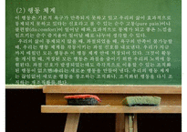 현실치료의 상담과정과 상담원리-11