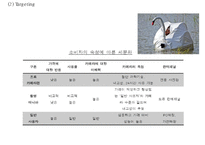 [캐논 기업전략,마케팅사례연구 PPT] Canon 캐논 기업경영전략 분석과 마케팅 SWOT,STP,4P전략분석및 캐논 향후전략방안 제언-20
