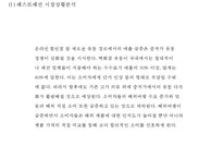 ZARA 자라 브랜드분석및 ZARA 자라 마케팅 SWOT,STP,4P전략분석과 ZARA 문제점과 개선방안제언 PPT-8