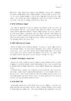 [발달심리학] 에릭슨(Erickson)의 사회심리발달이론-4