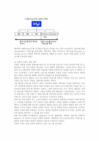 [마케팅원론]<마케팅전략> `인텔` 마케팅 성공전략 분석-6