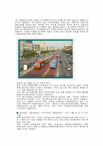 [정치학] 버스중앙차로제-1