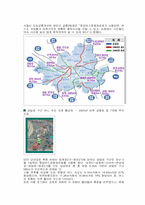 [정치학] 버스중앙차로제-2