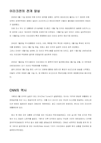[대중매체] 이라크전쟁에서의 언론(CNN과 알 자지라)-2