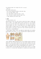 [현대생활과 디자인] 속옷의 기능성디자인과 미적디자인-5