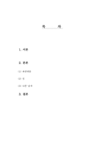 영화감독 김기덕의 영화세계-1