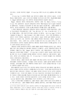 [정치커뮤니케이션] 오락과 정치-5
