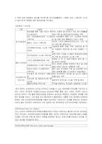 [정치학] 전자정부-8