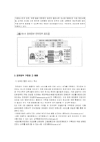 [정치학] 전자정부-9