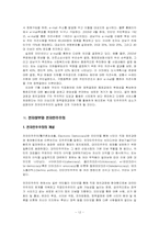 [정치학] 전자정부-12