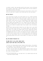 노무현정부와 뉴딜정책-4