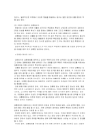 [정치학개론] 한국의 대통령제-4