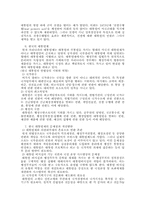 한국과 미국의 대통령제 비교-3