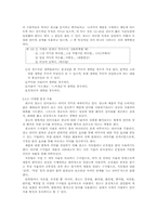 [학사][언어학]광고언어- tv광고와 인터넷배너광고 중심-13