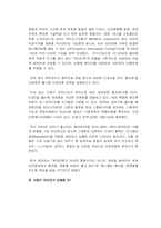 [마케팅] 삼성`애니콜`과 엘지`싸이언`의 제품 및 마케팅비교분석-12