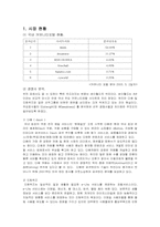 paran 파란닷컴 마케팅전략-1