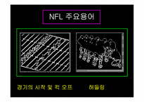 [영미문화] 스포츠로 본 미국의 대중문화- MLB와 NFL을 중심으로-11