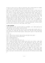 [문화정책] 문화재정책-4