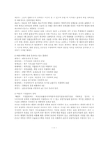 [문화정책] 문화재정책-5