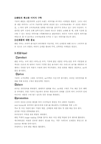 [광고기획서] 프리미엄샴푸 `팬틴` 광고기획서-13