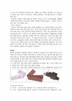 [일본문화] 한복과 기모노-9