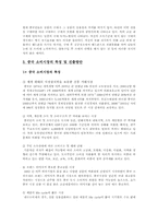 [국제광고] 중국광고시장 진출전략-6