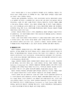 [행정윤리] 행정윤리에 대해서-4