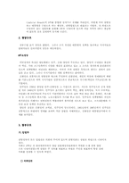 [영미문화] 영국미국의 정치제도-6