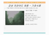 [광고언어] 음성광고언어의 발화구조와 발화유형-17