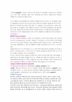 [유럽문화] 이탈리아의 음식문화-7