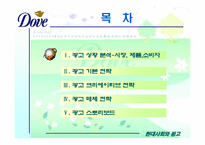[광고기획서] 도브 광고기획서-2